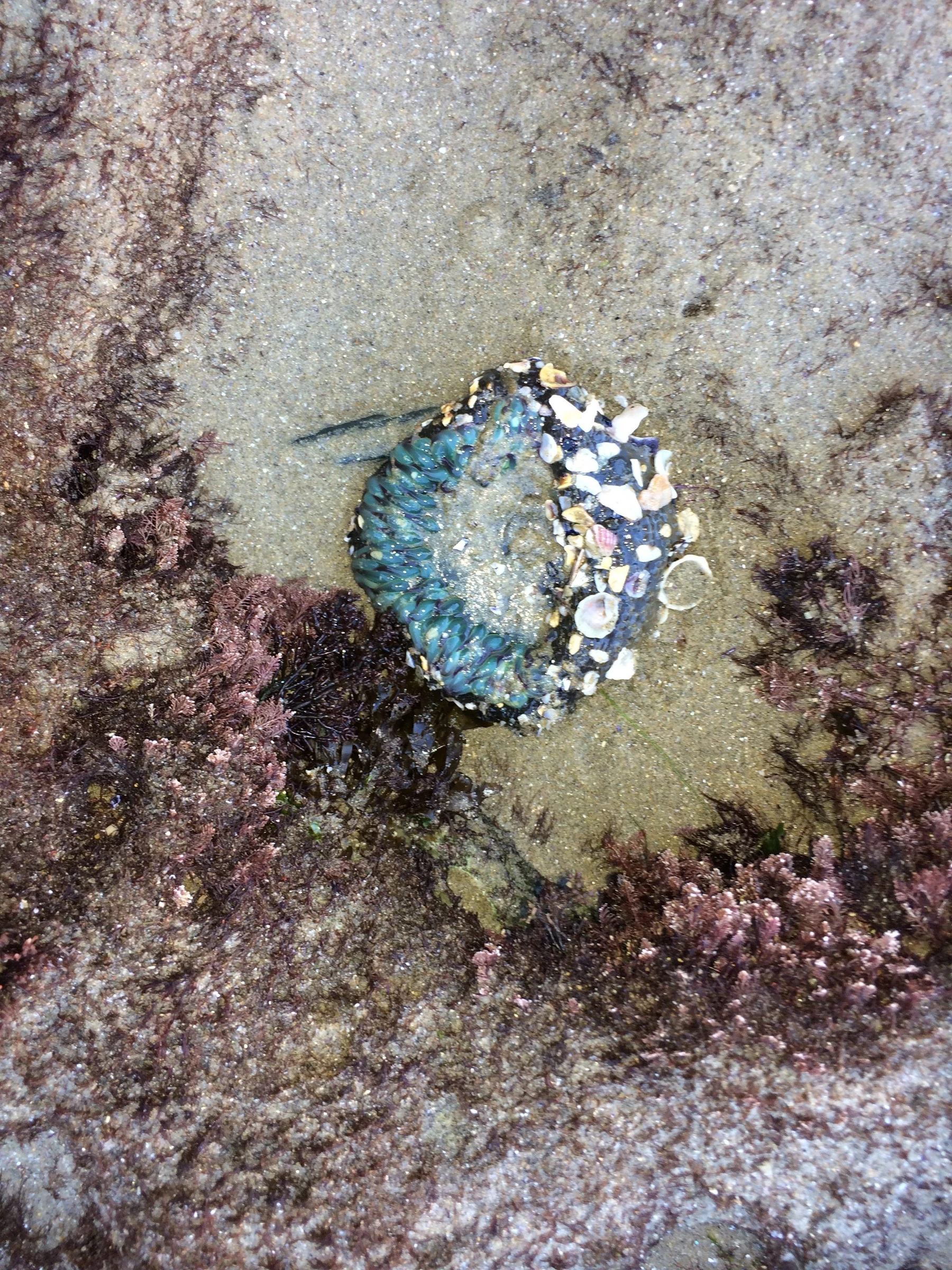 Photo 3 from “Beachin'”