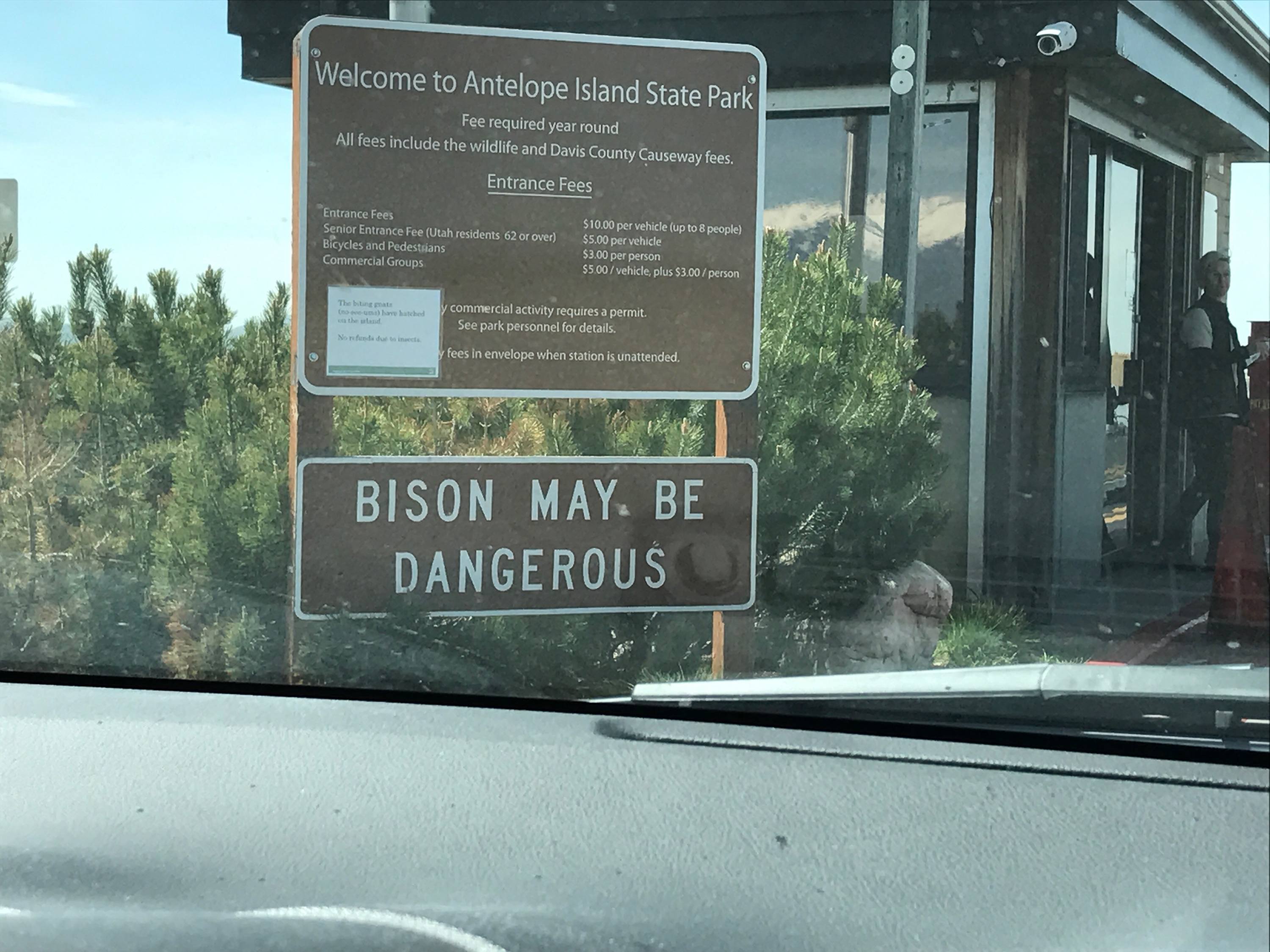 IMG_0908.JPG IMG_0908.JPG