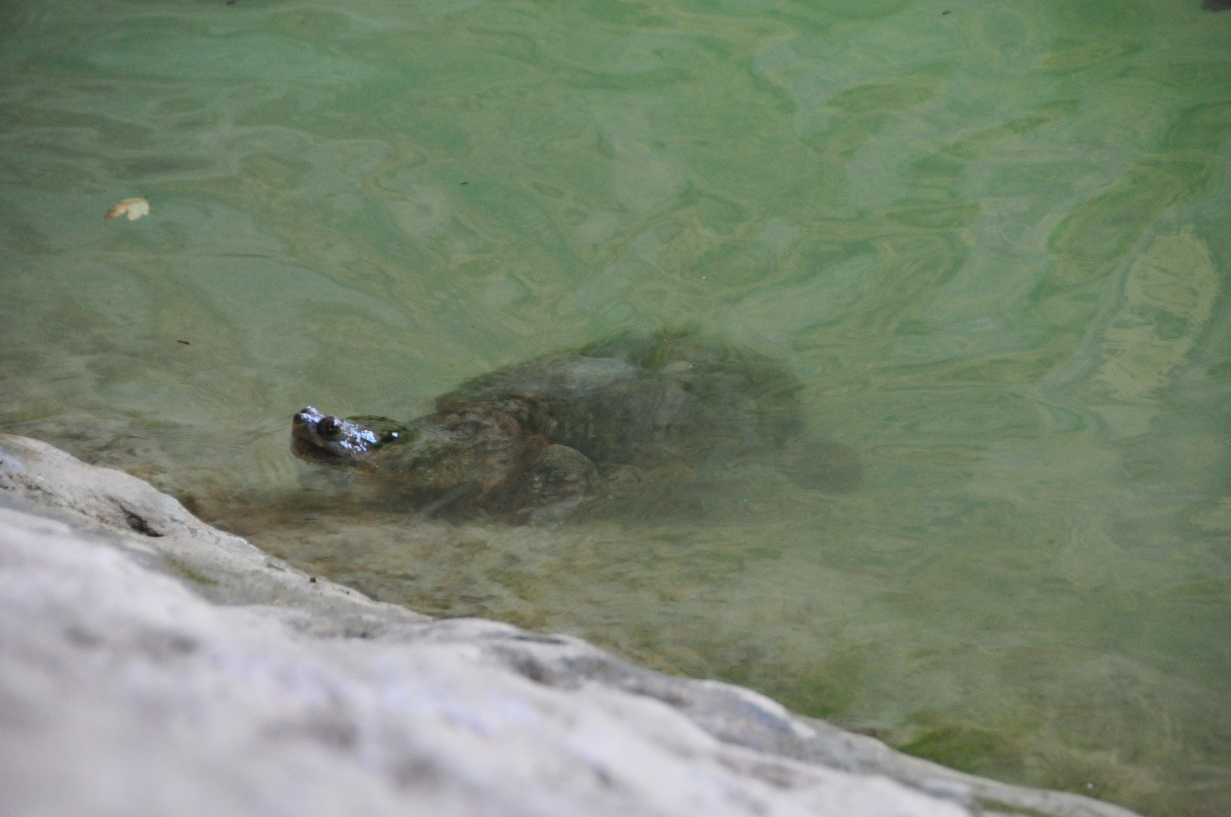 DSC_5451 DSC_5451