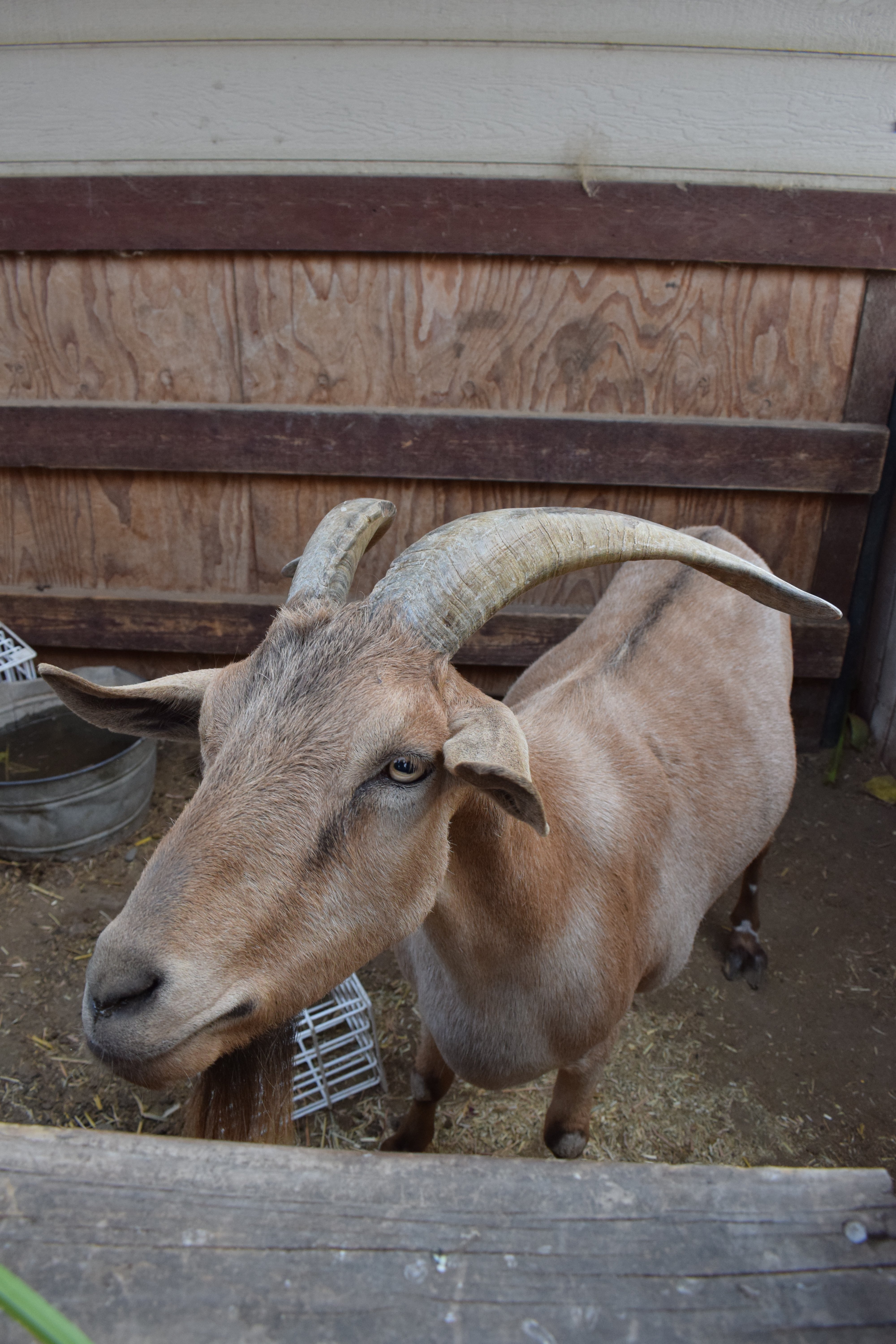 DSC_0052 DSC_0052