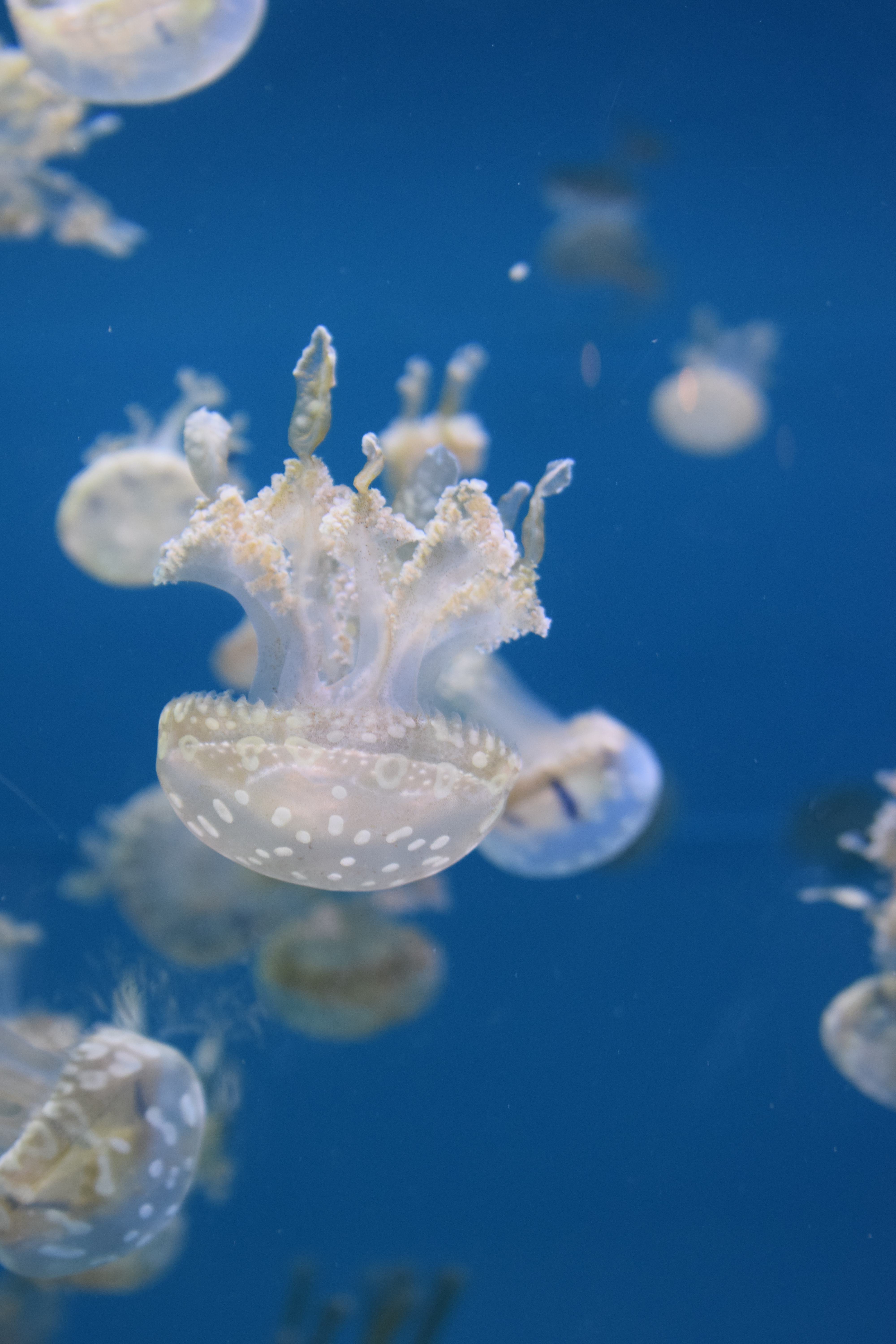 DSC_0119 DSC_0119