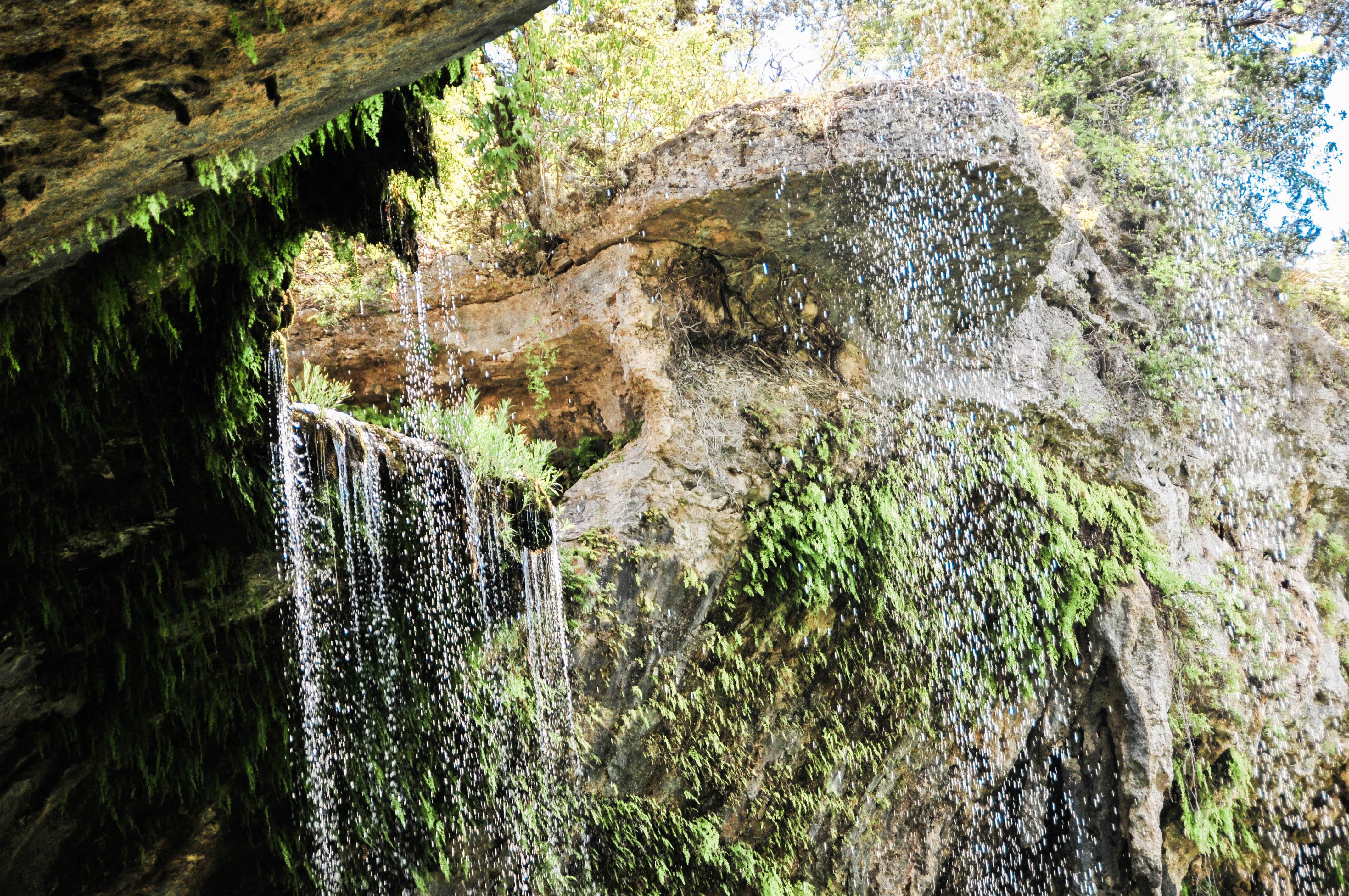 DSC_5374 DSC_5374